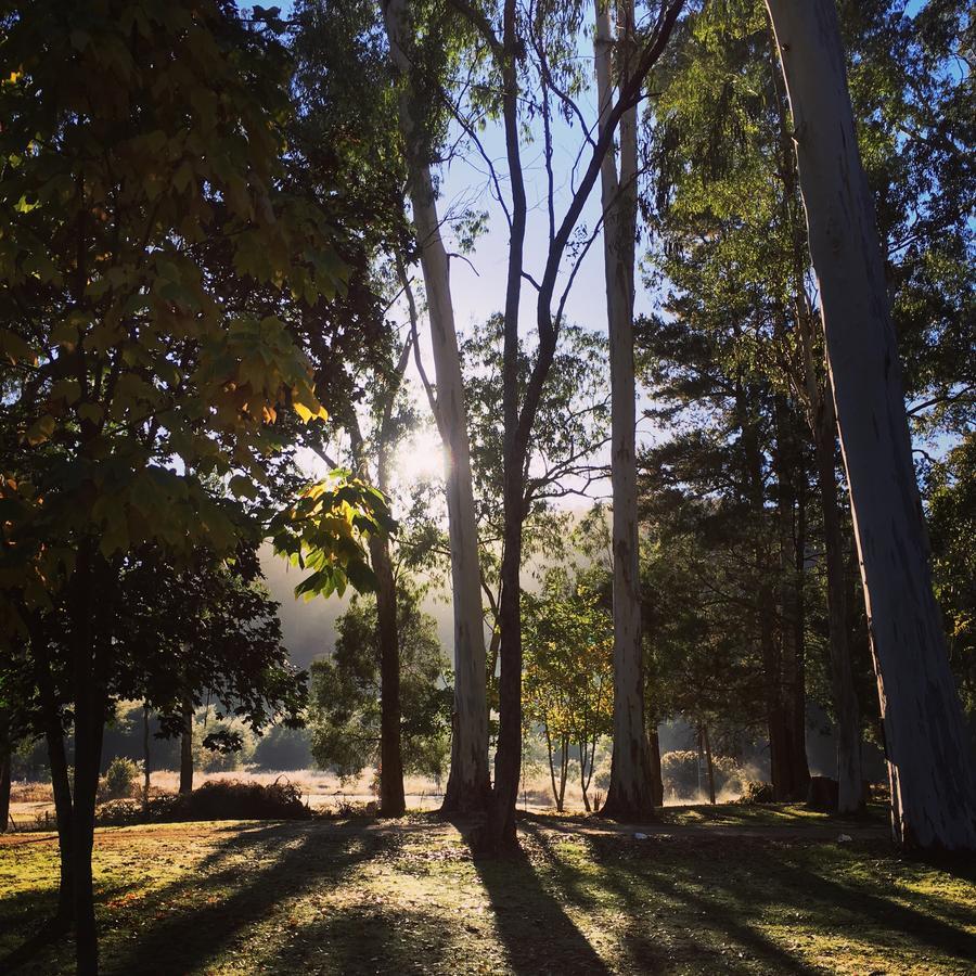 Bright Cabin Park Εξωτερικό φωτογραφία